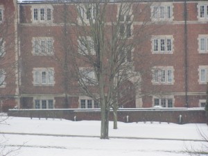 Falling Snow and a building