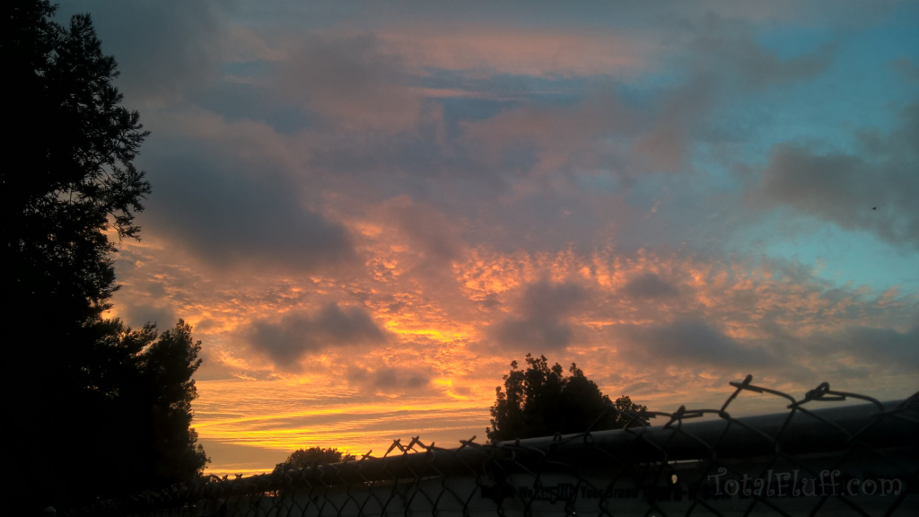 stunning sunrise landscape at dawn